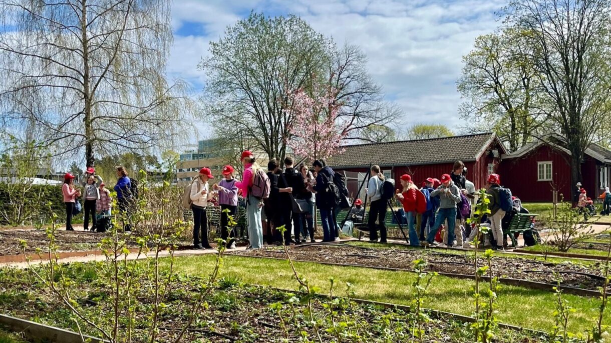 Children visiting Fåbros hage - a garden for urban farming in Lilleakerbyen