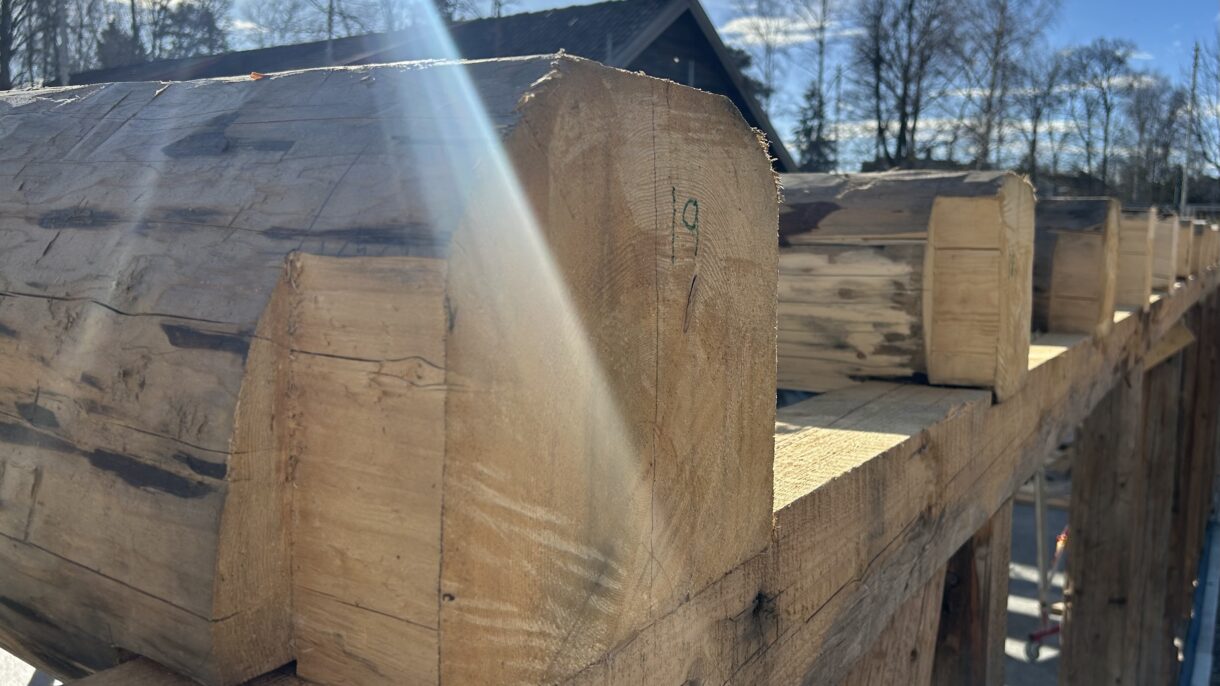 Rester av bjelkene skal brukes som «kubb» i veggene, en gammel teknikk der bindingsverket er utmurt med trekubber og leire. Her en testvegg. Foto: FutureBuilt