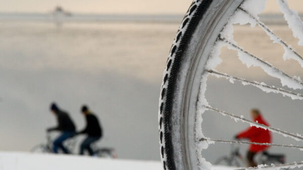 Reinsdyr er "sooo last year", i år tror vi julenissen kommer på sykkel. Er det han vi skimter mellom eikene? God (h)jul! Foto: redmar
