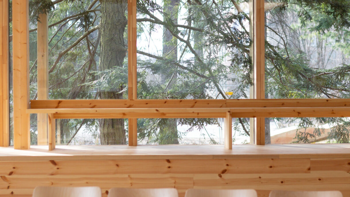 Amfiet utsnitt__Foto_NHM-Jarli & Jordan