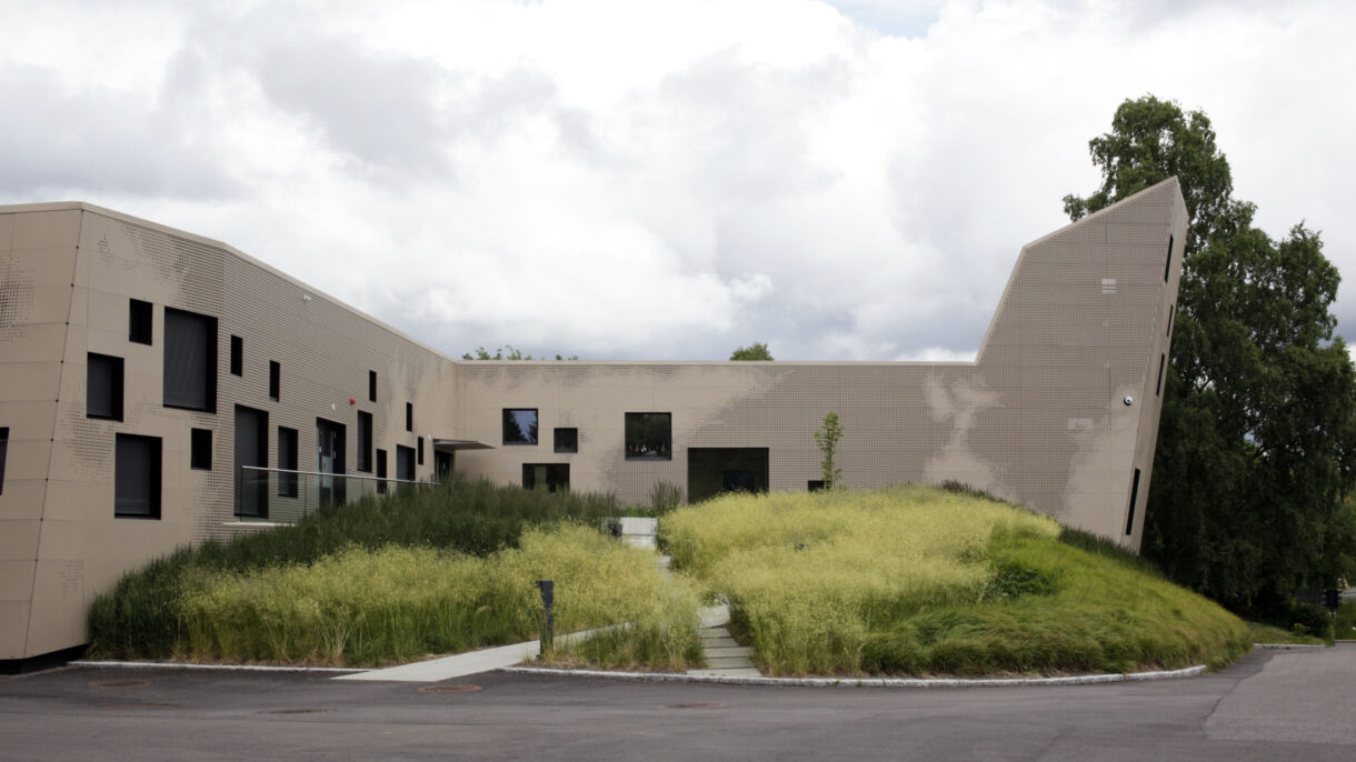 Tallhall grøntanlegg