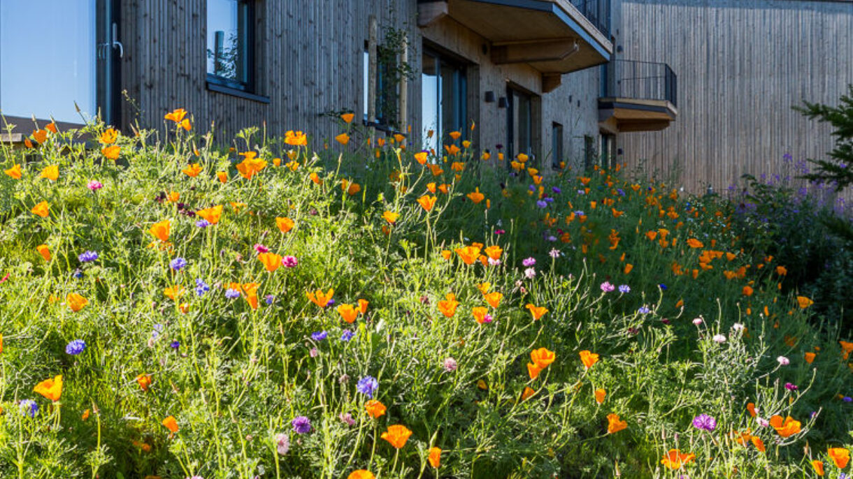 Ulsholtveien 31 opprinnelig og nytt bygg