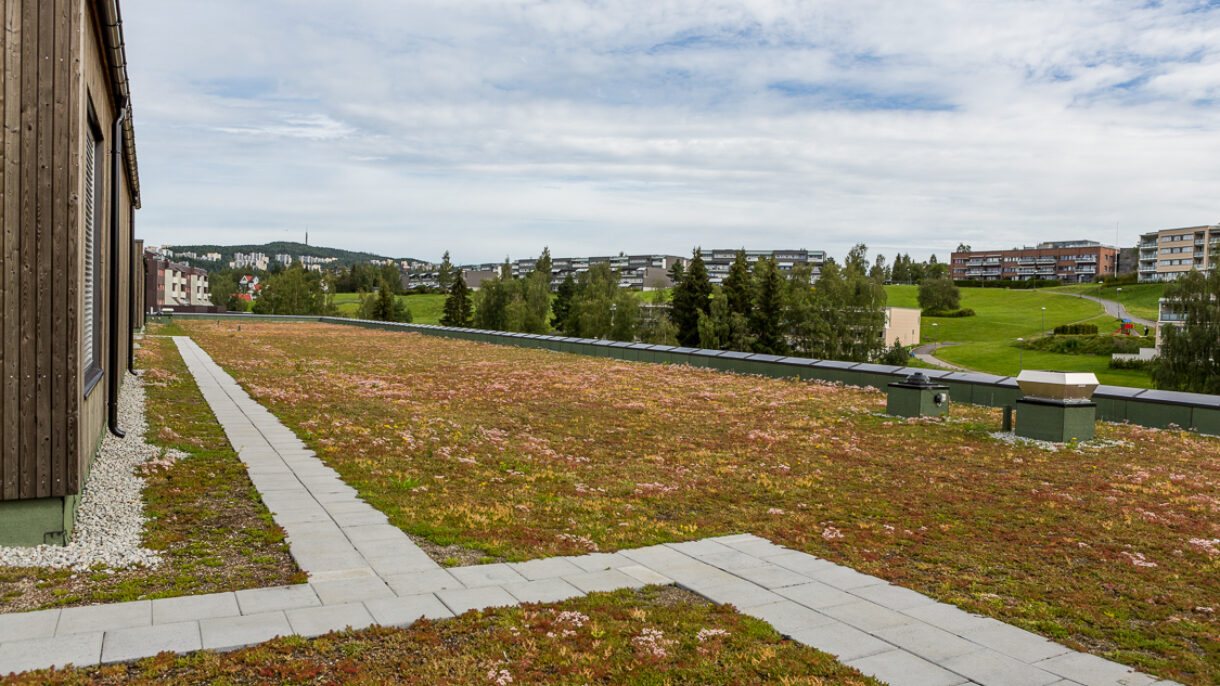 Skjermbilde 2016-02-26 kl. 19.09.47